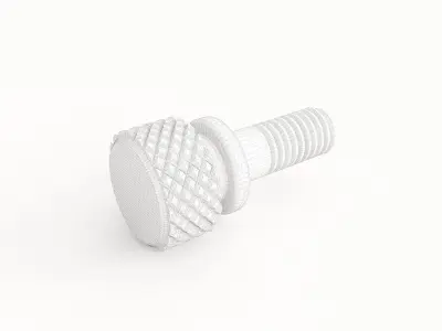 Screw 46 3D model