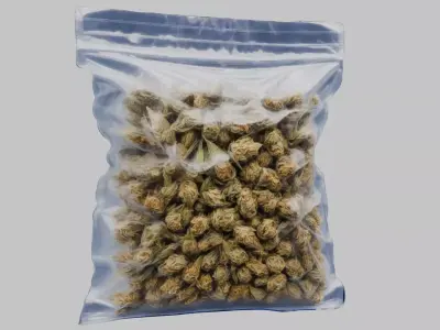 Cannabis Transparent plastic container Weed Bag CBD Hemp Low-poly 3D model