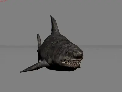 Shark Animal Low-poly 3D model