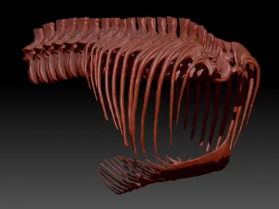 Dinosaur Giganotosaurus Rib Set Skeletons 3D model