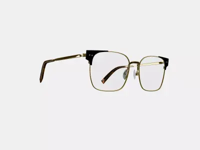 Ramona Eyeglasses in Jet Black with Polished Gold 3D model