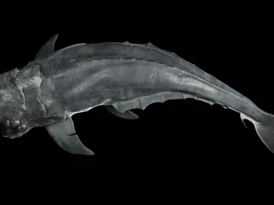 Dunkleosteus shark Low-poly 3D model