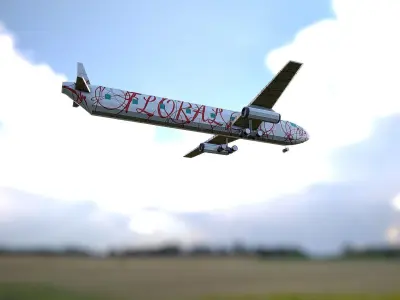 Airplane Flower Low-poly 3D model