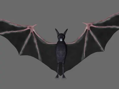 Bat with wings 3 Low-poly 3D model