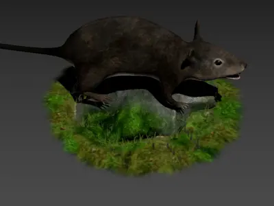 rats rat roddents mammals animal mouse cute pet fur lab 3D model