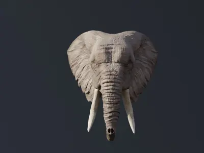 Elephant 3D head with tusks Free 3D model