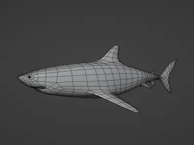 White Shark Low-poly 3D model