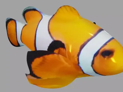 Clownfish OBJ and Blender 3D model