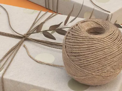 Gift Box Wrapped Jute Twine with Decorative Twig 3D model
