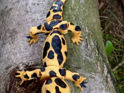 Flexi salamander fantasy print in place animal Free 3D print model