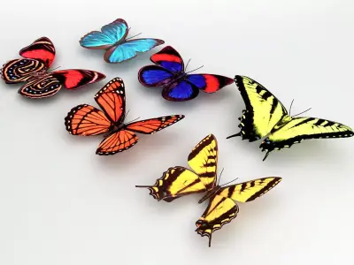 6 Butterflies group of colorful 3D model