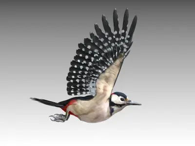 Woodpecker in flight Low-poly 3D model