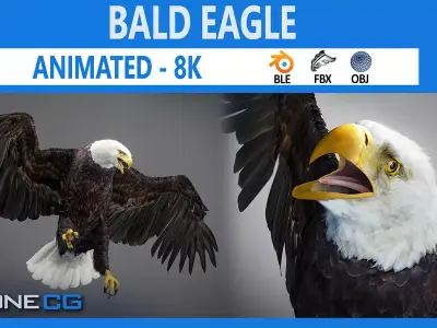 Animated Bald Eagle by NoneCG Free 3D model