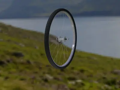 Bycycle Wheel 3D Model Free low-poly 3D model