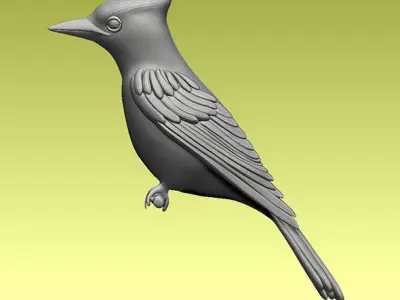 jay bird 3D model