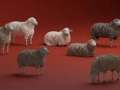 low poly sheep pack  Low-poly 3D model