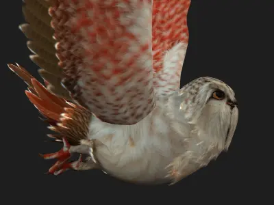 OwlBird A2 3D model