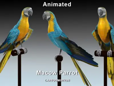 Blue Macaw Parrot Low-poly 3D model