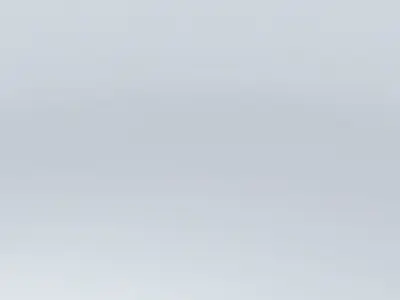 LAC-PANEL plane flying in sky Free 3D model