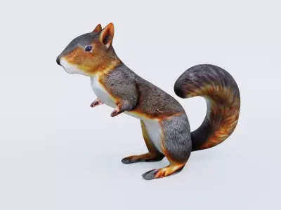 Squirrel Free 3D model