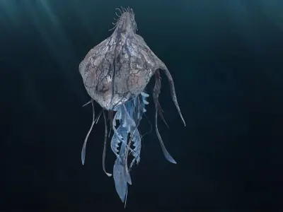 Jellyfish Empress Low-poly 3D model