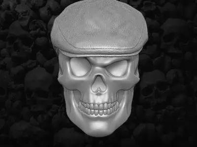 Skull Collection Heads 3D printable File 3D print model