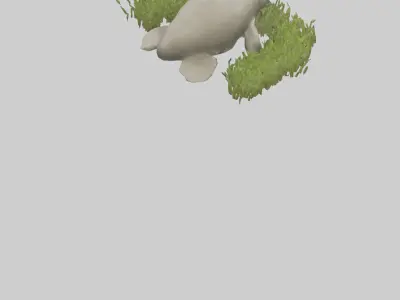 Dugong grazing seagrass model 3D model