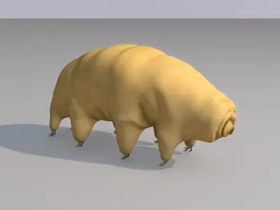 Tardigrade 3D model hamster 3D model