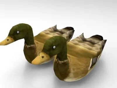 Swimming Ducks Low-poly 3D model