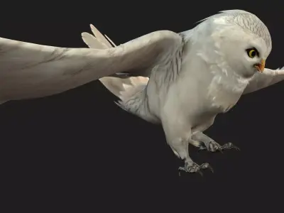 OwlBird A3 Free low-poly 3D model