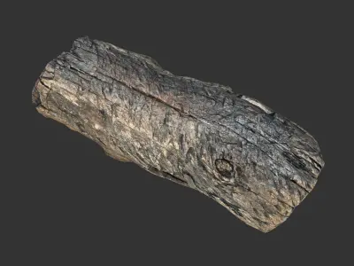 Realistic tree trunk Low-poly 3D model