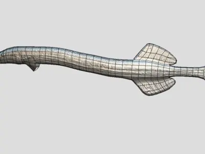Trumpetfish Low-poly 3D model