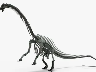 Brontosaurus Rigged Skeleton Low-poly 3D model