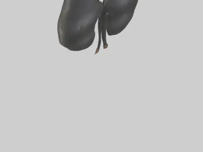 Gorilla Kidneys Low-poly 3D model