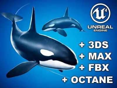 Orca Killer Whale - Animated - Octane Support Low-poly 3D model