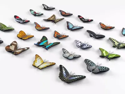 Butterflies Collection - 24 Rigged Low-Poly Butterfly Models Low-poly 3D model