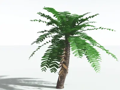 EVERYPlant Pseudoctnis Cycad LowPoly 3 --12 Models-- Low-poly 3D model