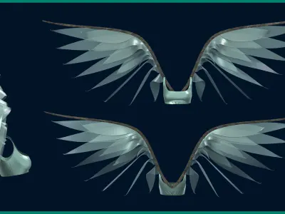 5 female wing outfit 3D model