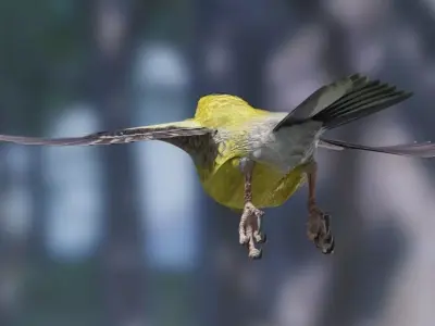 Goldfinch bird Low-poly 3D model