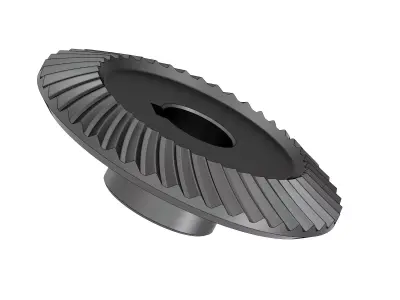 Spiral bevel gear 3D model