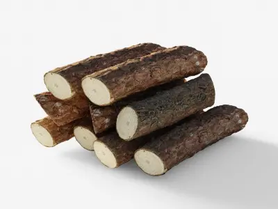 Scanned coniferous firewood Low-poly 3D model