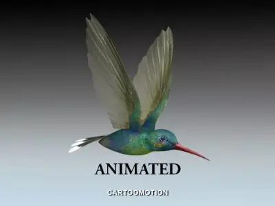 Humming bird Low-poly 3D model