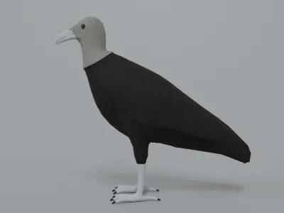 Low poly Cartoon Black Vulture Low-poly 3D model