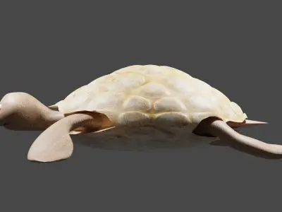 Turtle figurine Free low-poly 3D model