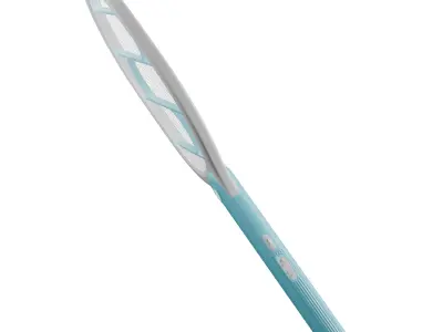 Electric Mosquito Swatter 3D Model 3D model