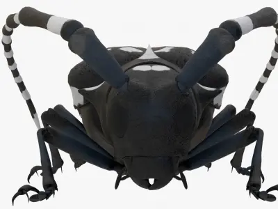 4K Longhorn Beetle Low-poly 3D model