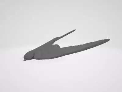 golondrina Free 3D model