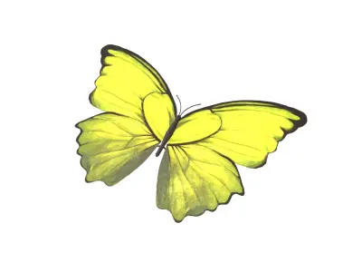 Butterfly v1 005 Low-poly 3D model