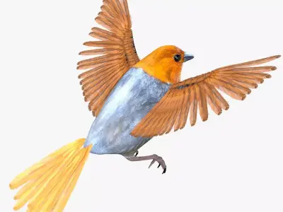 Finch bird rigged 3d model Low-poly 3D model