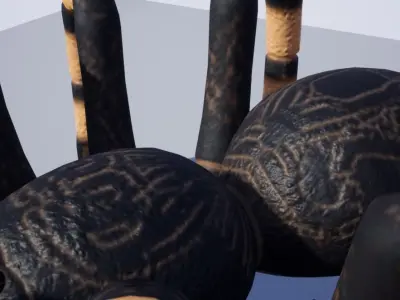 Giant Spider Low-poly 3D model